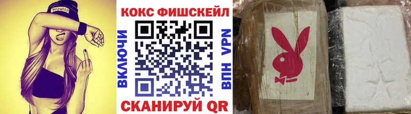 КОКАИН Fish Scale  Купить  Нерчинск 