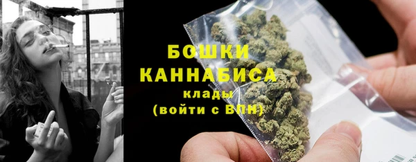 спиды Лагань