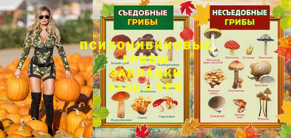 первитин Лиски