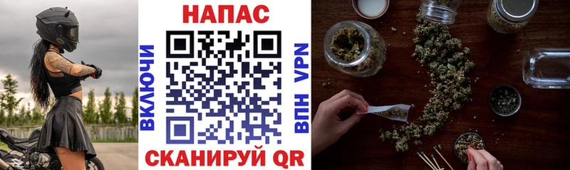 Купить где Нерчинск Бошки Шишки ГИДРОПОН